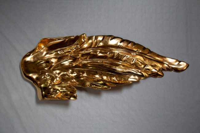 wings_3