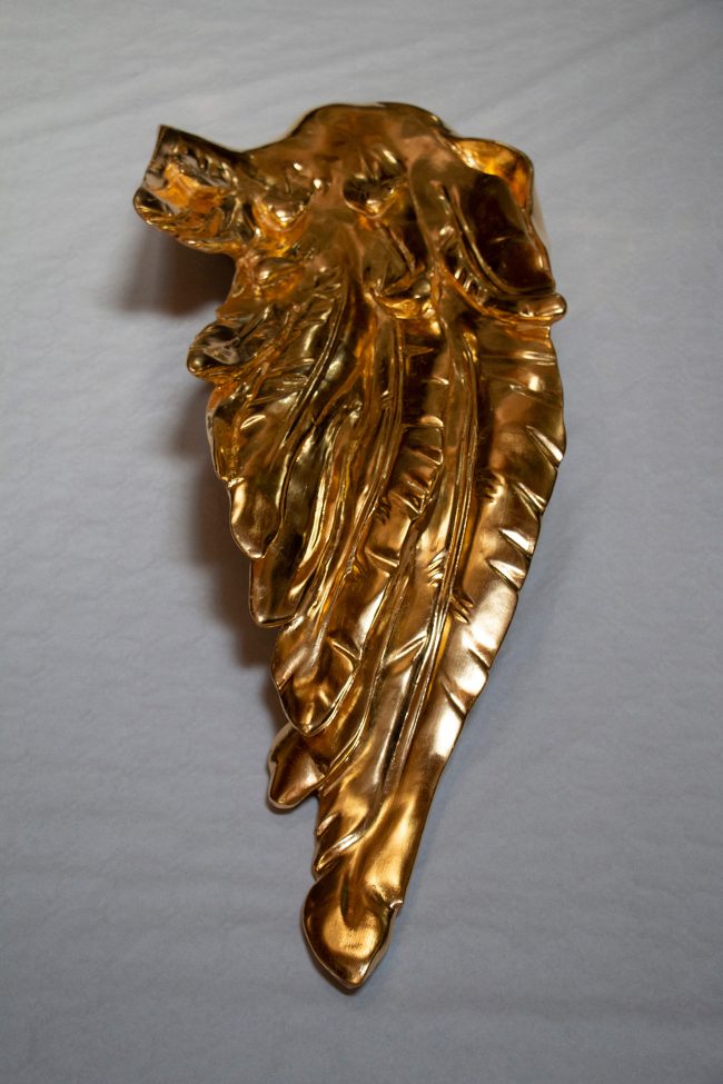 wings_4
