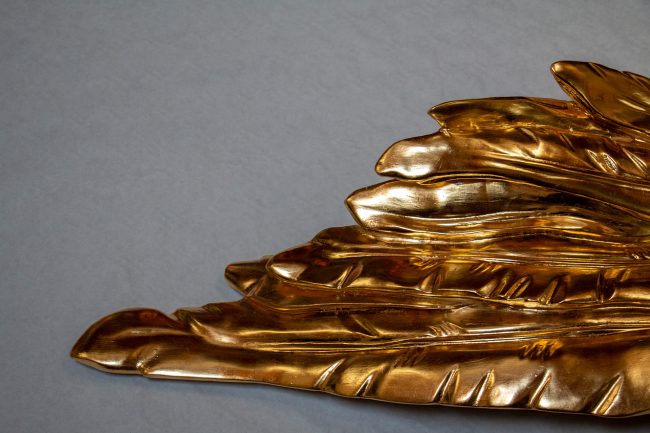 wings_5