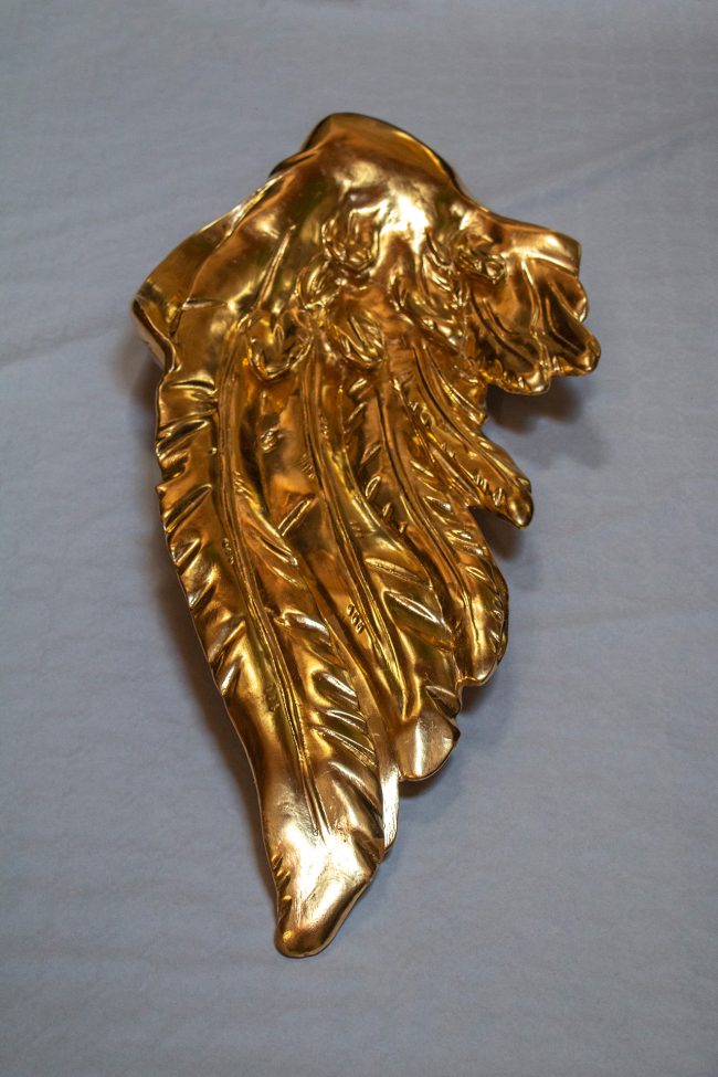 wings_7