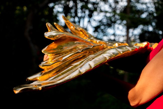 wings_9